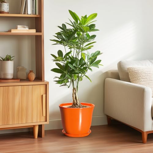 10 Inch Plant Pot, Ceramic Pots for Plants with Drainage, Orange