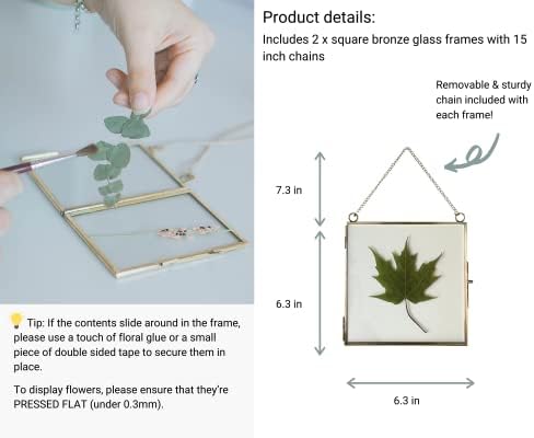 Beedecor Glass Frame for Pressed Flowers, Leaf and Artwork - Hanging Square Metal Picture Frames, Clear Double Glass Floating Frame, Wall Decor Photo Display, Set of 2 Flower Press Frames with Chain