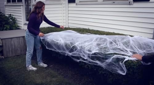 200 Sq. Ft Spiderweb Coverage, Indoor & Outdoor Use, Creepy Spiders Included, Garden Decor (White, 200 SQ FT) Spider Web
