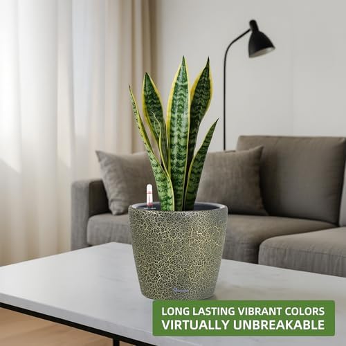 Dexceder 11x10 Self Watering Planter (Black Gold Crackle)
