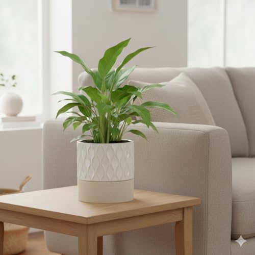 Nihow Ceramic Self Watering Plant Pot for Indoor Plants, 6 Inch,Cream White