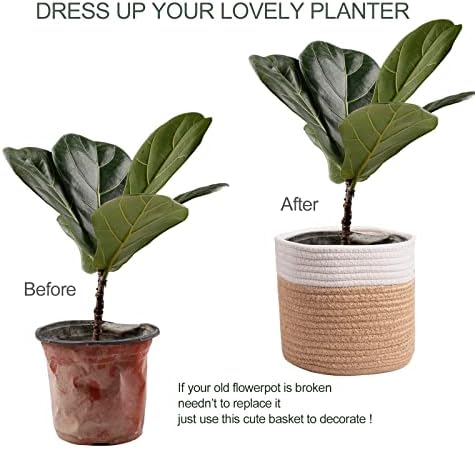 11" Cotton Rope Plant Basket Modern Woven Baskets 11"x 11"