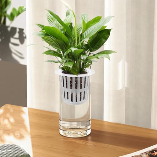 Olrla Clear Cylindrical Acrylic Vase, Set of 3, Shatterproof