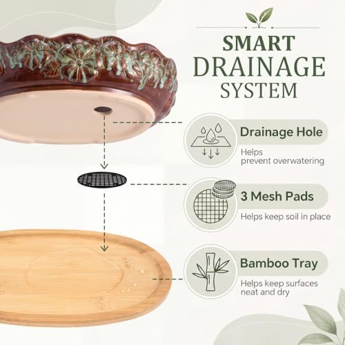 11 Inch Oval Ceramic Shallow Succulent Planter with Tray, Blue and Brown