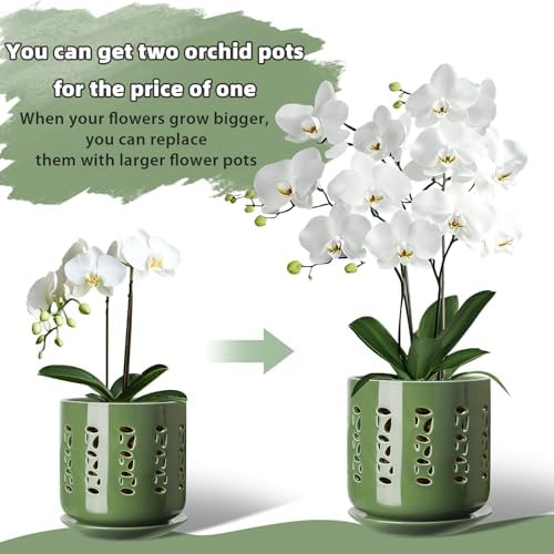 BUYMAX 5&6 Inch Ceramic Orchid Pots with Holes & Trays Root Care Planter