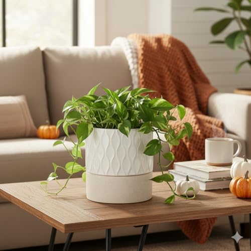 Nihow Ceramic Self Watering Plant Pot for Indoor Plants, 6 Inch,Cream White