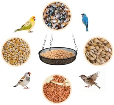 2PCS Hanging Bird Feeder with Tray, Hanging Tray Wild Bird Feeder, Metal Mesh Hanging Bird Feeders, Platform Bird Feeder Tray,Metal Bird Feeder Tray,for Garden,Terrace,Farm,Outdoor (Black)