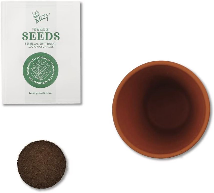 BUZZY Seeds Daydream Collection Mini Terracotta Grow Kit 6-Pack - Mini Terracotta Pot Grow Set - 100% Grow Guarantee