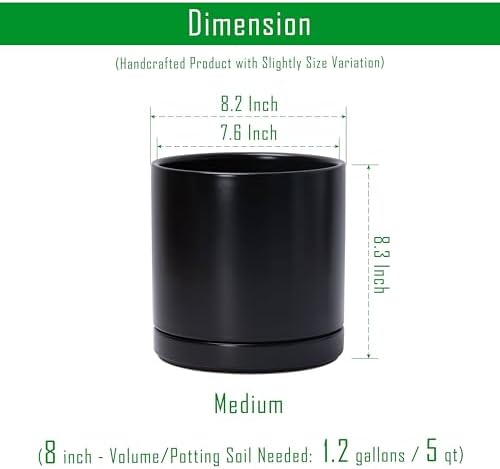 D'vine Dev 8.2 Inch Ceramic Planter Pot, Black, 94-O-D-2
