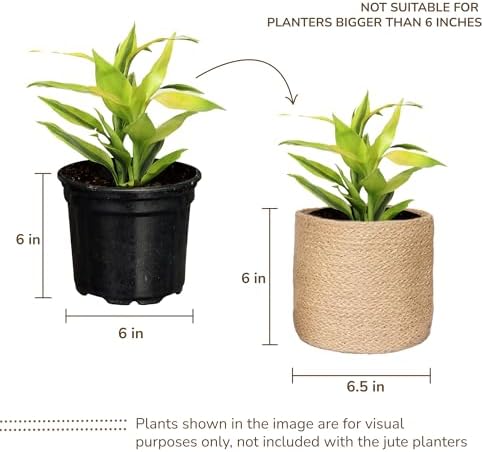 Small Jute Plant Basket, Set of 2, 6.5 Inches, Brown