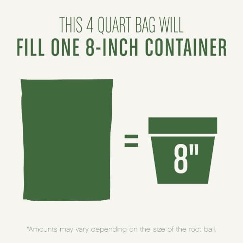 Gro Succulent Potting Mix, 4 qt. (2-Pack)