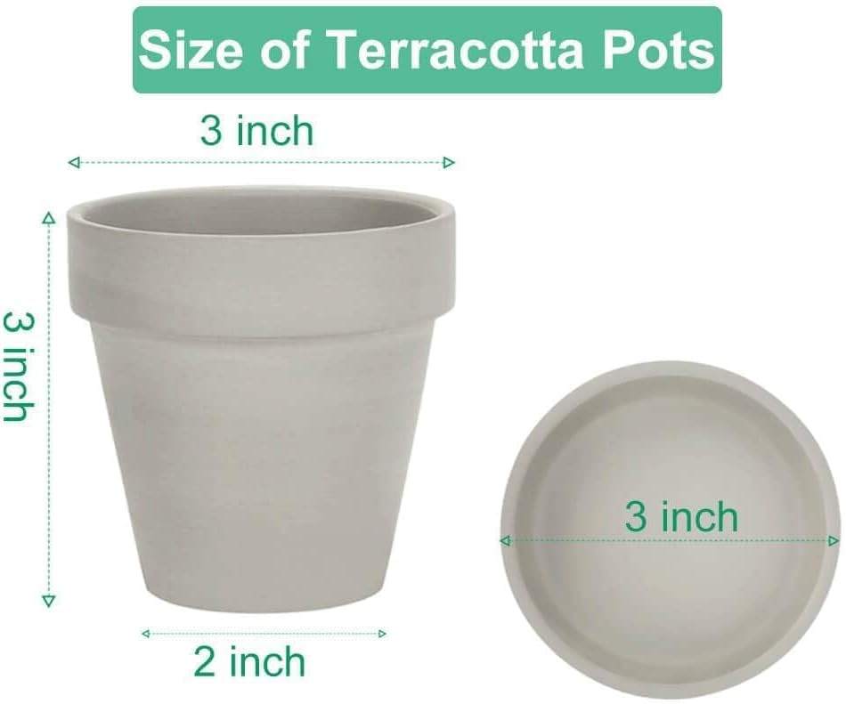 3 Inch Grey Terracotta & Clay Pots with Saucer, 12 Pack | Clay Flowerpot with Drainage, Nursery pot for succulents