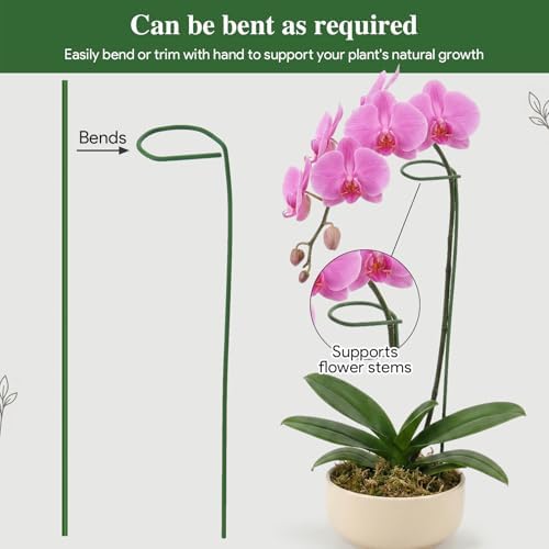 16 Inches Orchid Stakes and Clips, Pack of 20 Stakes, 30 Clips