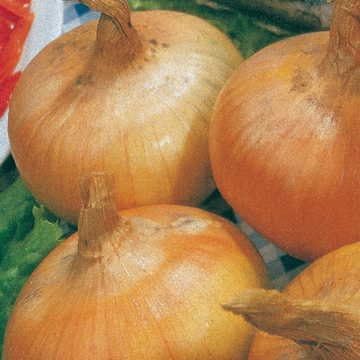 Park Seed Ultimate Vegetable Soup Seed Collection – Non-GMO Heirloom Garden Kit with Onion, Carrot, Celery, Roma Tomato