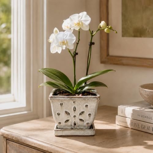 vensovo 5.5 Inch Rectangular Ceramic Orchid Pot with Holes, White