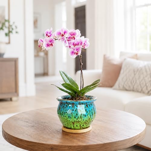 4.5 Inch Plant Pots, Small Pots for Plant Indoor, Succulent Pots with Tray