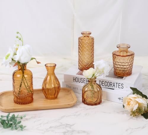 5pcs Amber Glass Bud Vase Set, Gold Small Flower Vases for Centerpieces