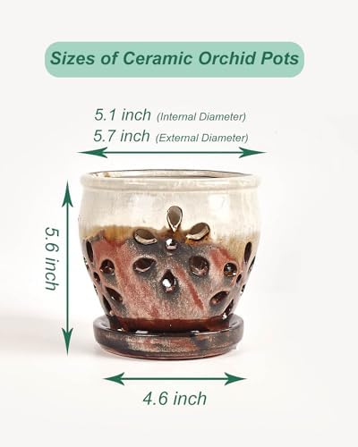 vensovo 5 Inch Ceramic Orchid Pots with Holes and Saucers - 1 Pcs Small Succulent Pot for Repotting, Garden Flowerpots for Plants Indoor and Outdoor Promotes Air Circulation, Brown Mixed