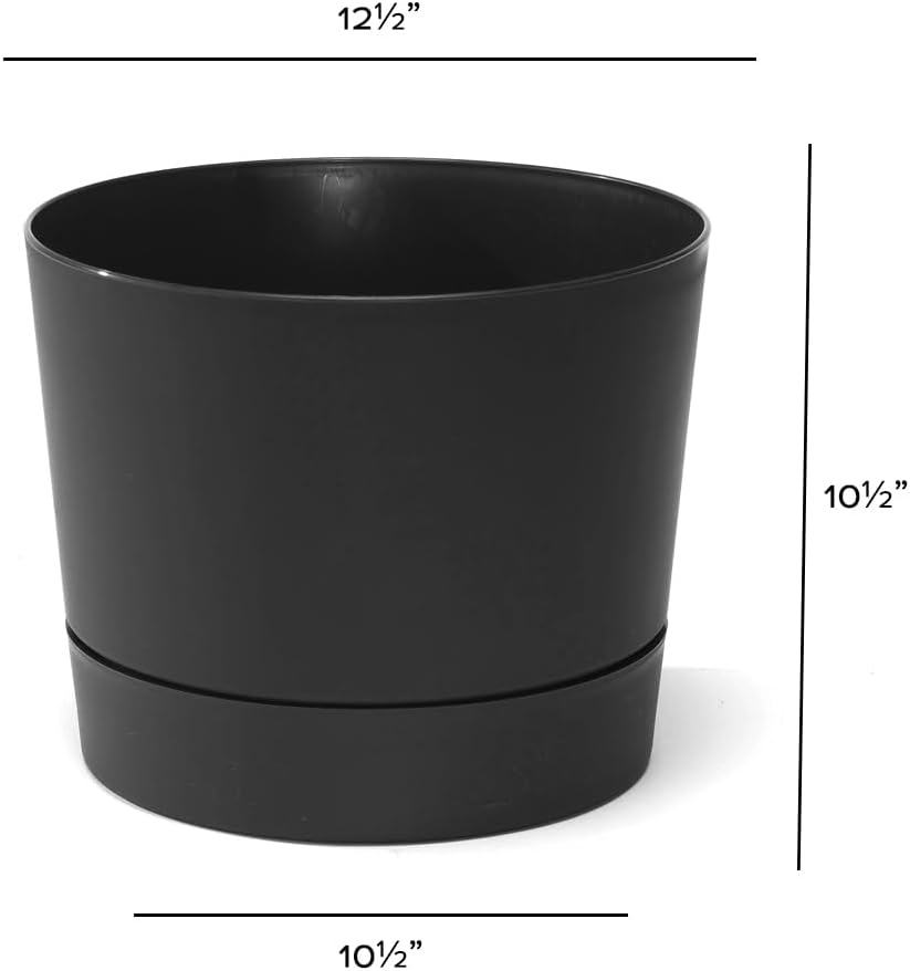 Root & Vessel Majestic Mid-Century Modern Low Profile Cylinder Pot, Matte Black, 12.5"