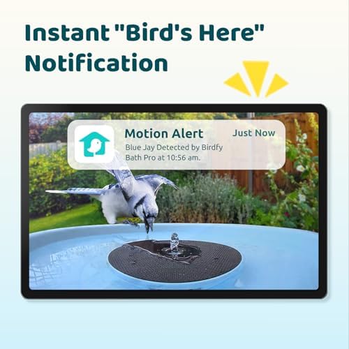 Birdfy Smart Bird Bath with Camera, Solar Powered, Dual-Lens 2K AI Camera