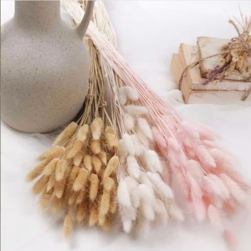 Bunny Tails Dried Flowers Boho Decor Pampass Grass 100pcs Floral Stems Decoration Plants 17 Inch (Natural)