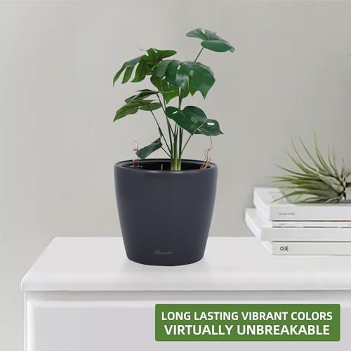 Dexceder 9x8 Self Watering Planter (Slate Gray Matte)