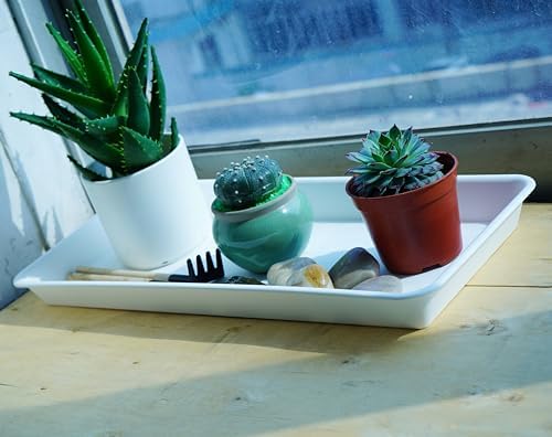 VUWEZ 2 Pack Plastic Plant Saucer, Rectangular, Indoors Outdoor, Water Drip Tray for Planter, Windowsill (6 X 11 Inch, Creamy White)
