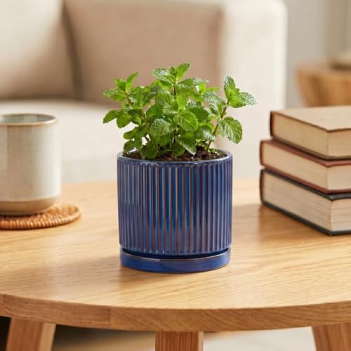 4 Inch Pots for Plants, Ceramic Plant Pots with Saucer, Retro Blue