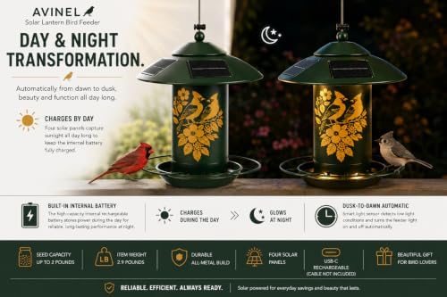 AVINEL Solar Lantern Bird Feeder – Solar-Powered Outdoor Hanging Wild Bird Feeder with Decorative Garden Lantern Design (Moss Green, Cardinal/Dogwood)