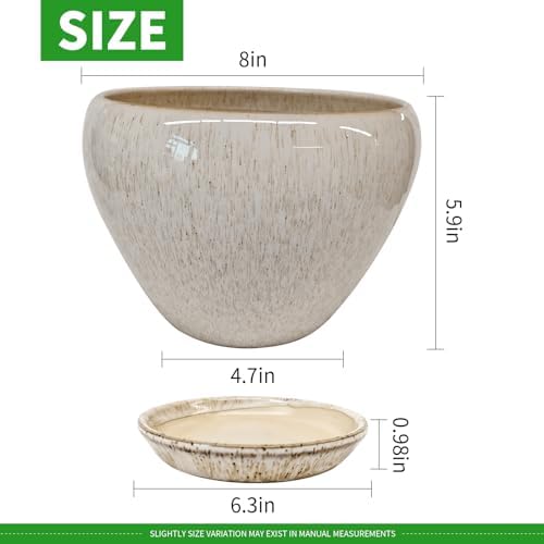 Deep Dream 8 Inch Plant Pots- Ceramic Pots for Plants with Drainage Hole and Saucer, Large Planter Pot for Indoor Plants Outdoor Decor, Beige
