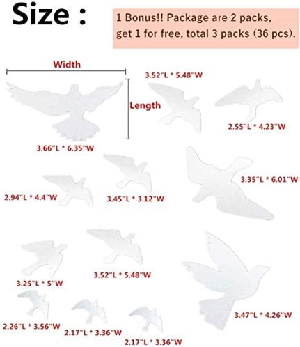 Anti Collision Window Bird Stickers Decals Glass Door Protect and Save Bird Strikes (Transparent 36 Pcs)