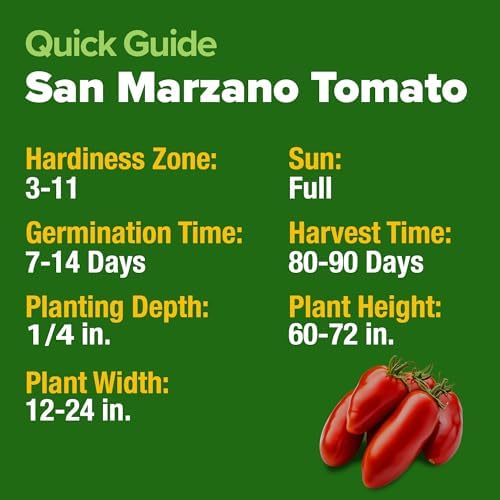 HOME GROWN San Marzano Tomato Seeds, 66+ Seeds, Solanum lycopersicum