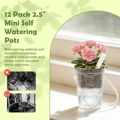 16 Pack 2.5" Clear Self Watering Pots for Indoor Plants, Mini Clear Plastic Planters, with 16 Plant Label and Water Level and Drainage Holes for Seedlings, Cuttings, Succulents (Large)