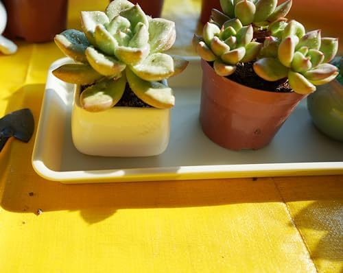 VUWEZ Rectangular Plastic Plant Saucer, 6 Pack - Indoor/Outdoor Water Drip Tray for Flower Pots and Planters, Windowsill (6.5 X 13 Inch, Beige)