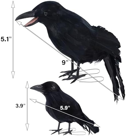 DR.DUDU 5 Pack Halloween Crows Decorations Fake Crow and Ravens