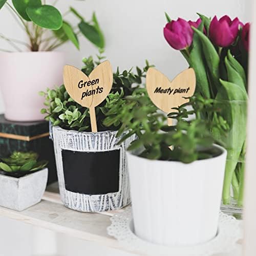 KINGLAKE GARDEN Bamboo Plant Labels,Plant Labels 60 PCS Plant Tags