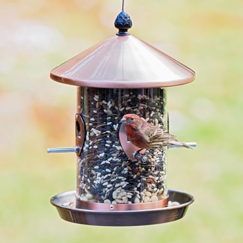 Kingsyard Large Metal Bird Feeder for Outdoors Hanging, Tube Bird Feeders