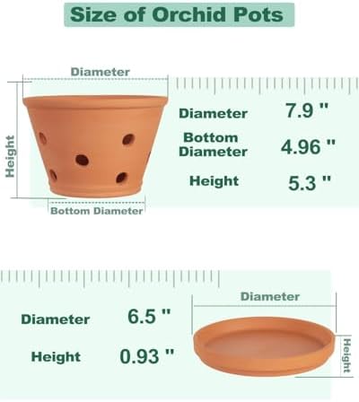 vensovo 8 Inch Terracotta Orchid Pots with Holes and Saucers - 2 Pack Clay Orchid Planter Pots for Repotting, Breathable Flower Pots for Indoor Outdoor, Promotes Air Circulation & Healthy Roots