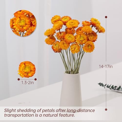 40 Pcs Dried Daisy Flower Bouquet, 17" Yellow Fall Flowers, Vase Filler
