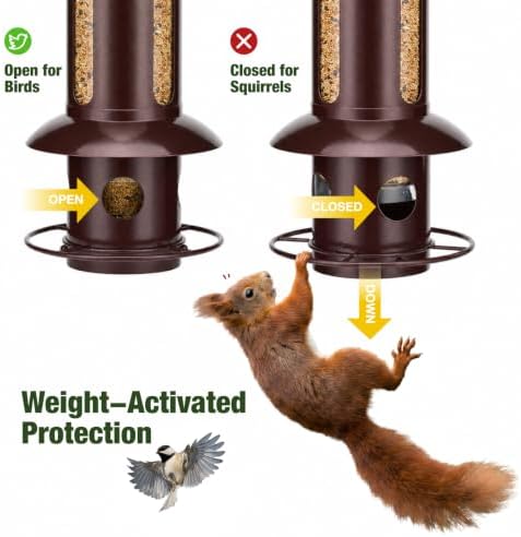 Kingsyard Squirrel Proof Hanging Bird Feeder for Outdoors