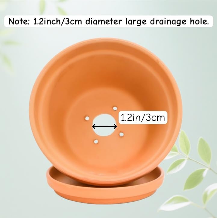 2 Pack 8 Inch Shallow Succulent Terracotta Pots with Drainage Hole and Saucer, Clay Plant Pots for Indoor and Outdoor