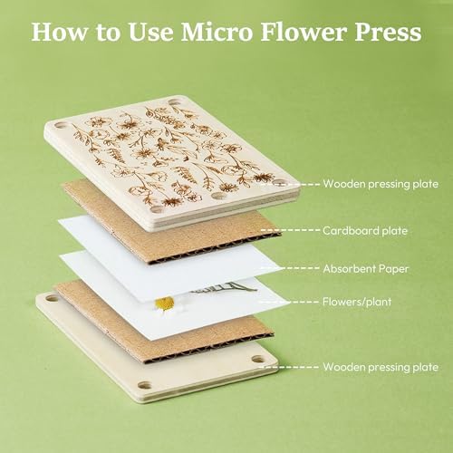 Aboofx Mini Flower Press Kit 2.5x4 Inch, Pocket Pressed for Small Flowers