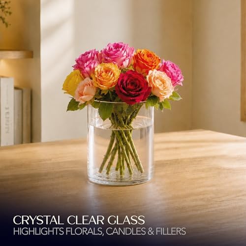 Royal Imports Glass Cylinder Flower Vase 8" Tall, 6" Opening, Clear