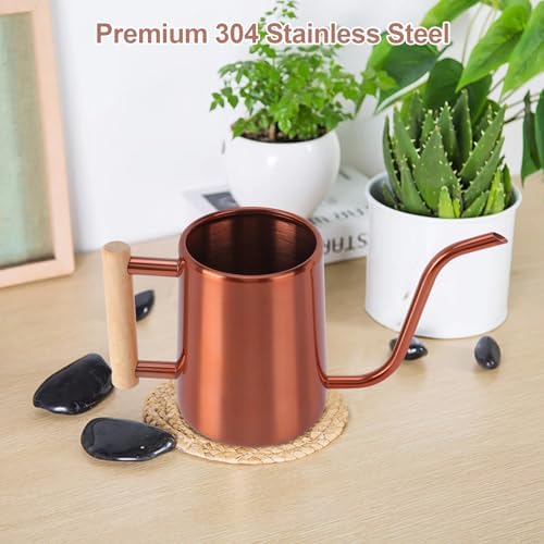Watering Can Indoor Plants, 35 oz/1000 ml Metal Stainless Steel Watering Can Pot with Long Spout for Indoor House Plants Bonsai Outdoor Garden Flower Decorative (Copper)