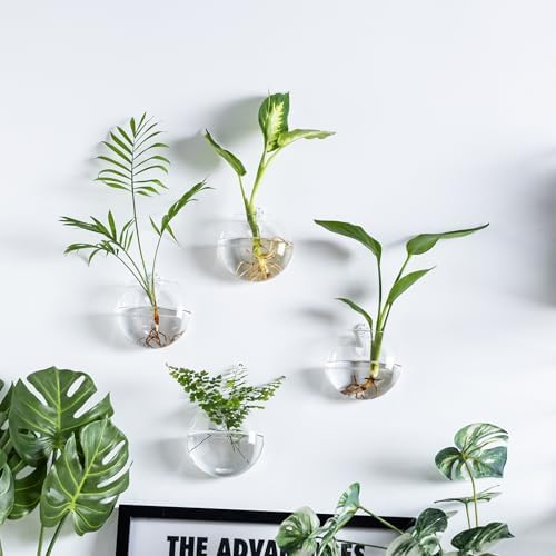 Wall Hanging Planter Propagation Station, Oblate Glass Flower Vase for Propagation, Wall Planter for Indoor Plants, Modern Home Office Corridor Bathroom Decor (2)