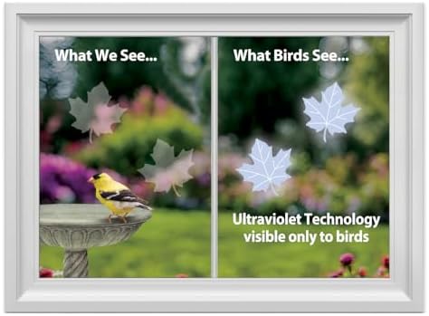 WindowAlert Maple Leaf Window Decals, UV Reflective Bird Collision Cling