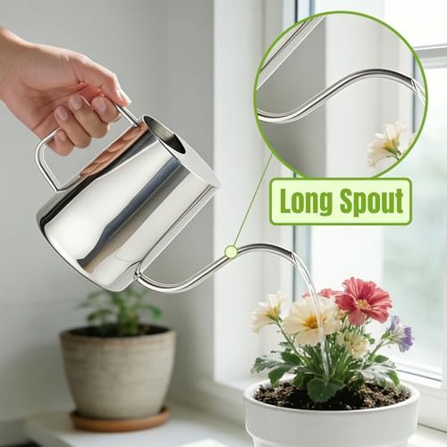 Plant Watering Can, 304 Stainless Steel Watering Can Indoor, 34 oz