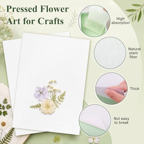 Coolrunner 100 Sheets Blotting Paper for Flower Press, A4 Size