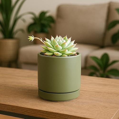 D'vine Dev 3.5 Inch Ceramic Planter Pot, Olive, 94-O-A-J