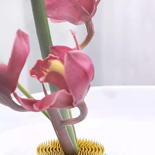 Flower Frog Stainless Steel Pin Frog Flower Arrangement Holder(2 Inch (50mm))
